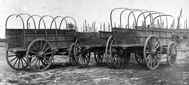 Uncovered supply wagon and 2 horse team standing